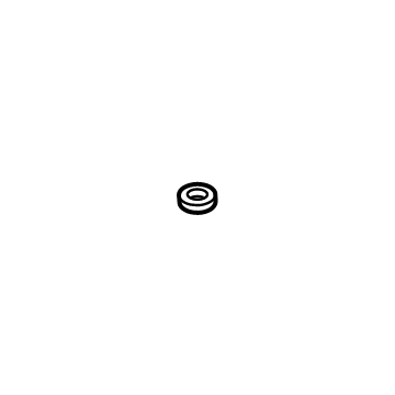 Lincoln 1W1Z-19E889-HB O" Ring