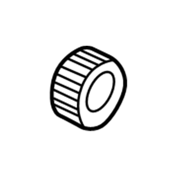 Ford F2DZ-13N019-B Retainer - Bulbs