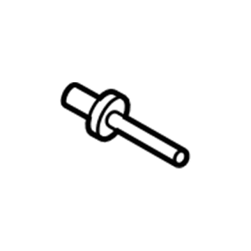 Ford -W716070-S300 Rivet