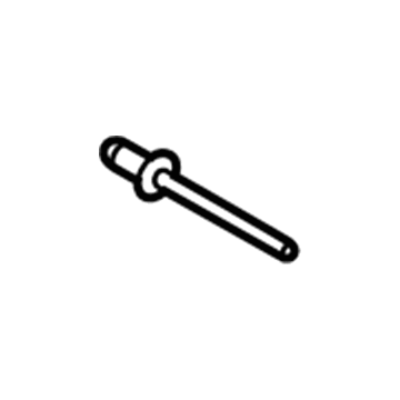 Ford -W716070-S300 Rivet