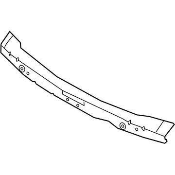 Lincoln LC5Z-7802012-A Panel Assembly - Cowl Top Outer
