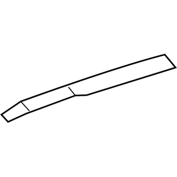 Lincoln DP5Z-5451968-A Panel - Roof Trim - Centre