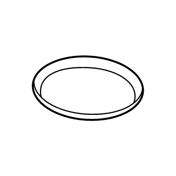 Ford F1VY-8255-A Seal - Thermostat