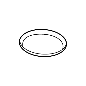 Ford F1VY-8255-A Seal - Thermostat