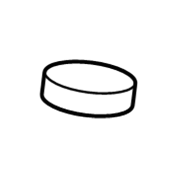 Lincoln E9SZ-2162-A Cap - Filler