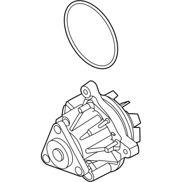 Ford P2GZ-8501-A Pump Assembly - Water