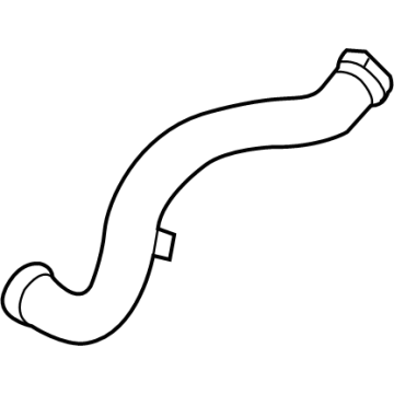 Ford L1MZ-8286-L Hose - Radiator