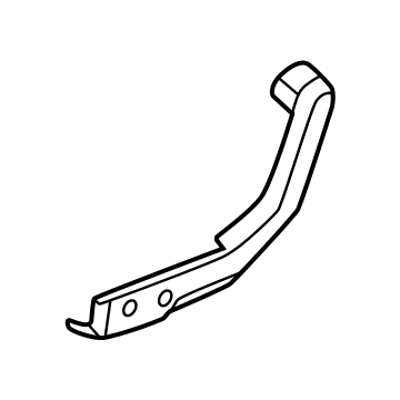 Lincoln SL1Z-7862186-AA Pivot Cover
