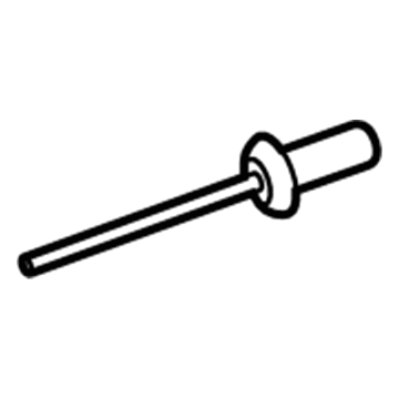 Ford -W716070-S300 Rivet