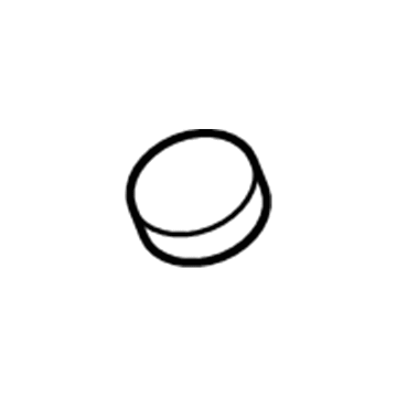 Lincoln -W710461-S300 Cap