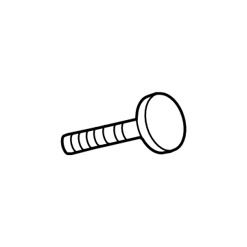 Ford -W704875-S439 Screw