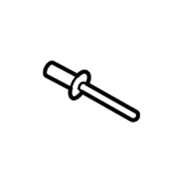 Ford -W716070-S300 Rivet