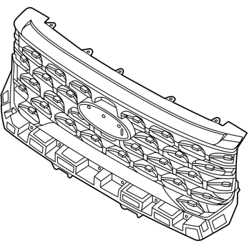 Ford SZ6Z-8200-BA Grille Assembly