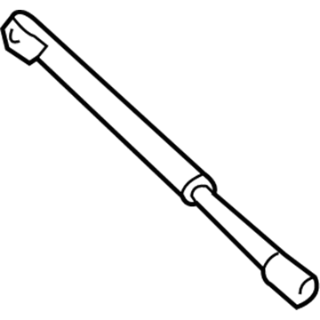 Lincoln 2L7Z-16C826-AA Lift Assembly - Gas