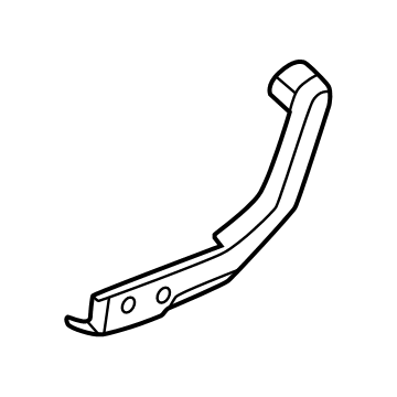 Lincoln SL1Z-7862186-AA Pivot Cover