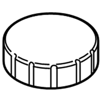Lincoln K2GZ-2162-B Cap - Filler