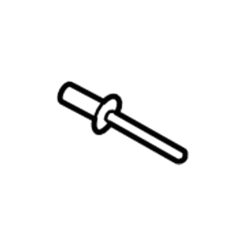 Ford -W716070-S300 Rivet