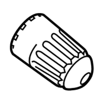 Ford 9L3Z-1A163-A Cap - Valve