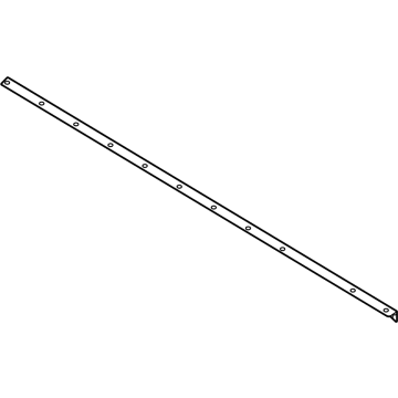 Ford FL3Z-1620758-B Weatherstrip - Door Lower