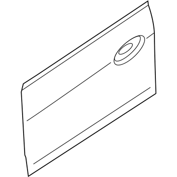 Ford DM5Z-5820200-A Panel Assembly - Door - Outer