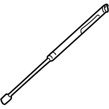Lincoln 1W4Z-16C826-BA Lift Assembly - Gas