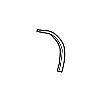 Ford DT1Z-6125325-C Weatherstrip - Door Lower