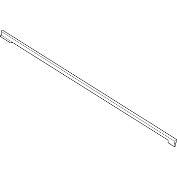 Ford N1WZ-2621452-E Belt Molding