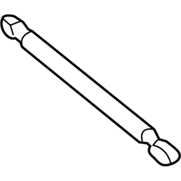 Ford AG1Z-54406A10-B Lift Assembly - Gas