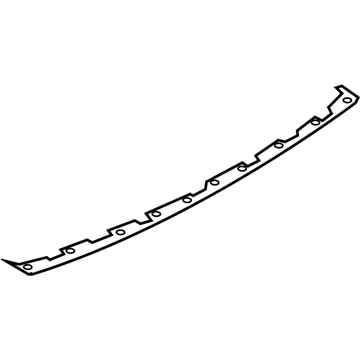 Ford LB5Z-17C830-CA Molding - Bumper Bar