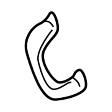 5L8Z-7831406-AAB Ford Grip Handle, Passenger Side Illustration 1 of 1