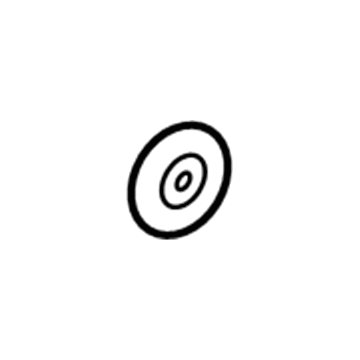 Ford -W703063-S300 Plug - Blanking