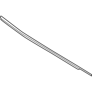 AB3Z-2625554-F Ford Belt Molding, Rear Passenger Side Illustration 1 of 1