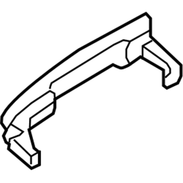Ford DG1Z-5422404-BAPTM Handle Assembly - Door Outer