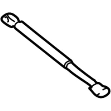 Ford F65Z-16C826-AA Lift Assembly - Gas