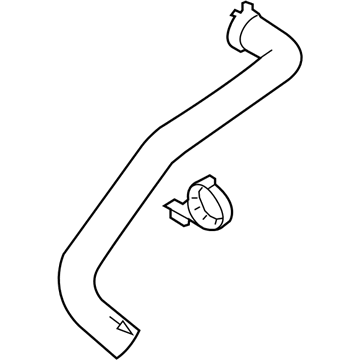 Ford AL3Z-8260-B Hose - Radiator