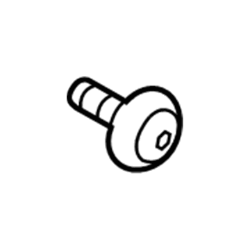 Lincoln -W716365-SS3JA Pin - Trim