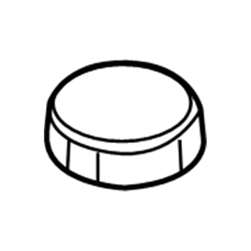 Mercury 6E5Z-2162-AA Plug - Filler