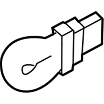 Lincoln YR3Z-13466-AD Bulb