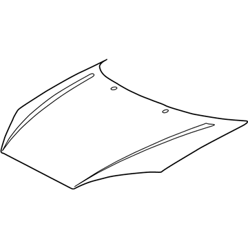 Ford YS4Z-16612-SA Hood Assembly - Less Hinge