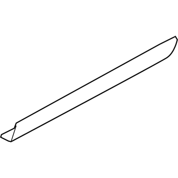 Ford AG1Z-5425556-AA Molding - Door Outside