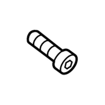 Lincoln -W715499-S900 Bolt - Banjo
