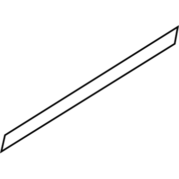 Ford 9L3Z-1625532-A Molding - Door Outside
