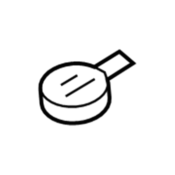 Lincoln F2UZ-17632-A Cap - Washer Reservoir