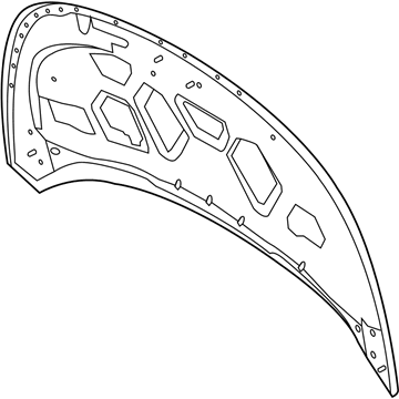 Ford BB5Z-16612-A Hood Assembly