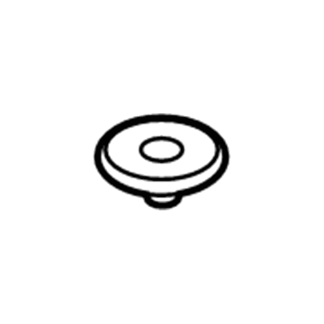 Lincoln GD9Z-4273-A Cap - Protective