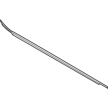Ford LB5Z-7825860-D Weatherstrip - Door Belt