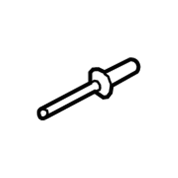 Ford -W717787-S417 Rivet