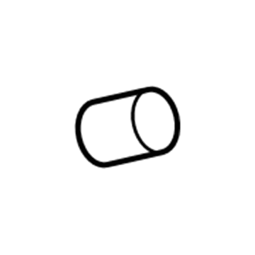 Ford -W707273-S300 Pin - Spring