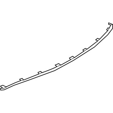 Lincoln HP5Z-17C830-A Molding - Bumper Bar