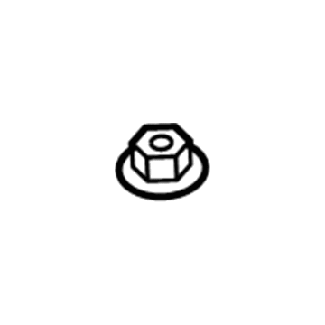 Lincoln -W714205-S307 Nut - Spring